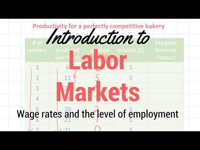 Introduction to Resource Markets and Marginal Revenue Product