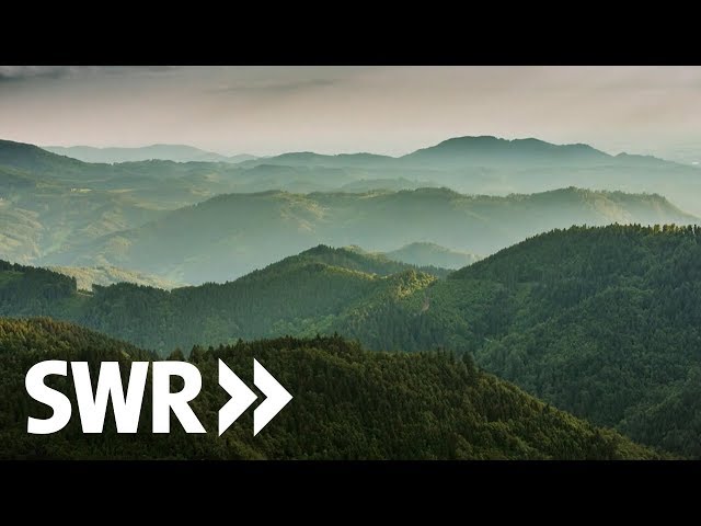 Tausender im Schwarzwald - Gipfel und ihre Geschichten | SWR Geschichte & Entdeckungen