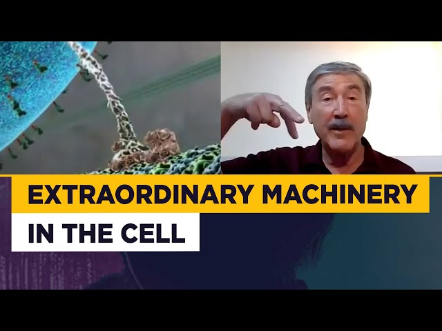 Paul Davies - the extraordinary machinery in our cells