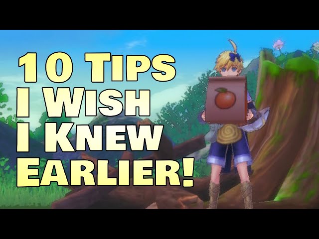 10 Things I Wish I Knew When I Started Rune Factory 5! Useful Tips & Tricks
