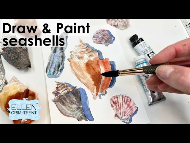 Draw & Paint Watercolor seashells using simple techniques