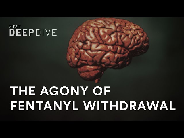 Why fentanyl withdrawal is so unbearable