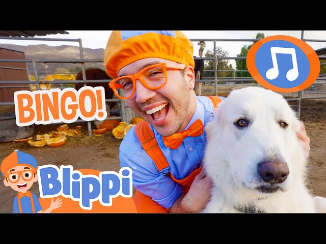 BINGO Song! | Blippi Music Videos | Blippi Toys