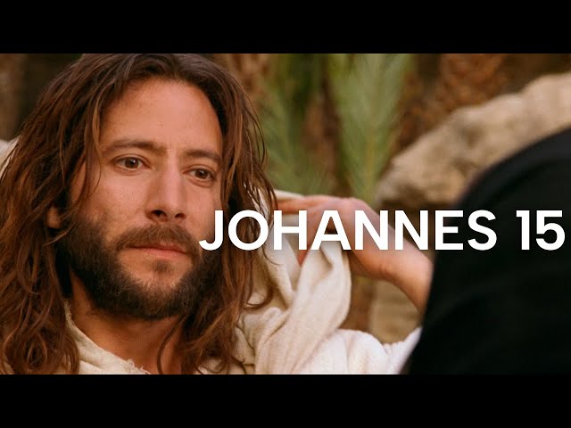 Johannes 15 | Das Leven Jesu | Bibel Online