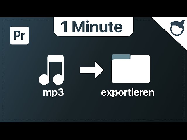 Premiere: Nur Audio exportieren [1 Minute]