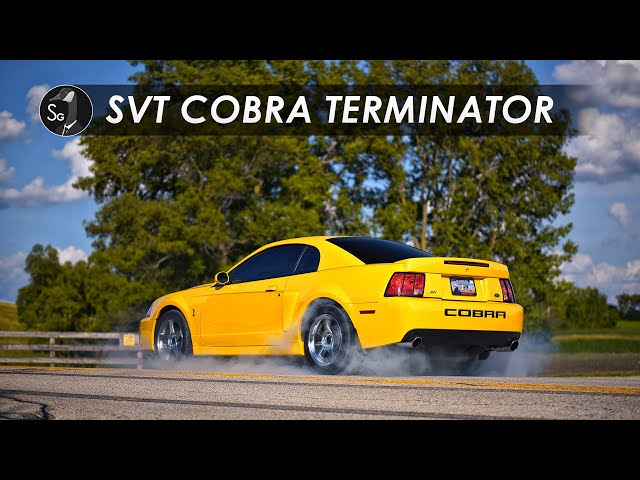 SVT Cobra Terminator | Still Smoking Imports