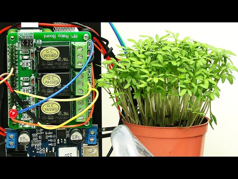 Raspberry Pi Plant Watering (& Time Lapse)