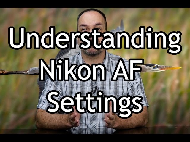 Nikon AF Modes