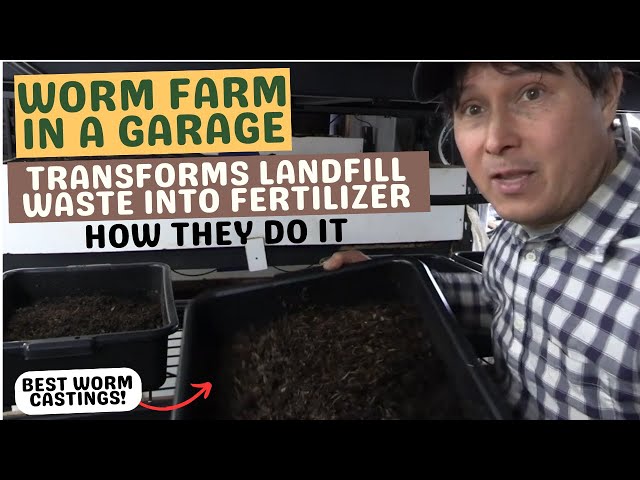 Worm Farm Turns Food Waste into the Best Fertilizer in the Garage TOUR