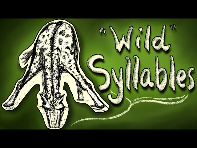 Animals make "wild" syllables – Can Animals Grammar? #4