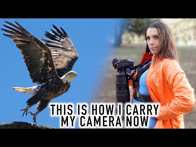 Bald Eagles, Wildlife, Cloudy Landscapes All Day with the Cotton Carrier