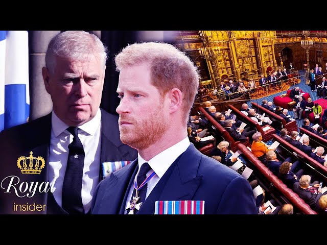Parliament suddenly discusses Princes Harry & Andrew's roles - Royal Insider