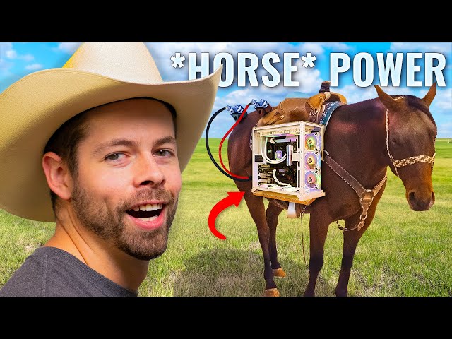 I Built a Horse Powered PC Setup
