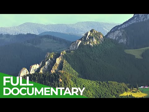 Wild Carpathia | Episode 3: Wild Forever | Free Documentary Nature