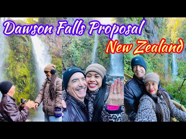 Dawson Falls New Zealand the Proposal
