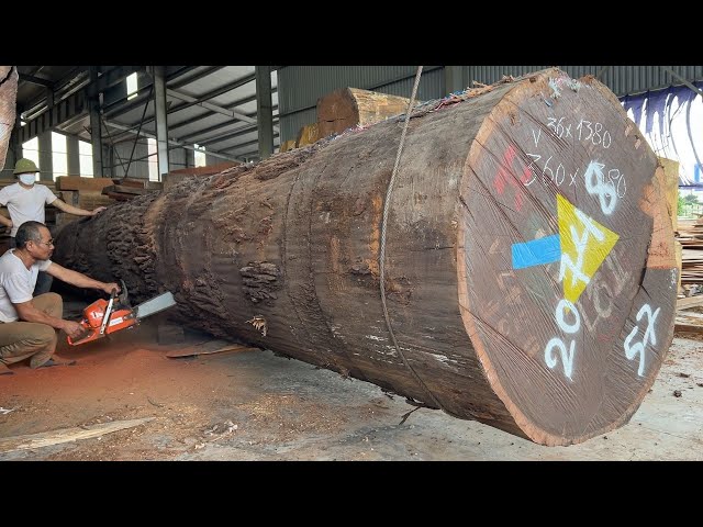 The Process Of Producing Raw Wood | Giant Ironwood, Working In Woodworking Processing Factory