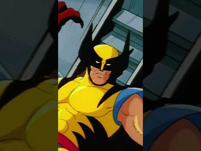 Wolverine vs Sabretooth #xmen