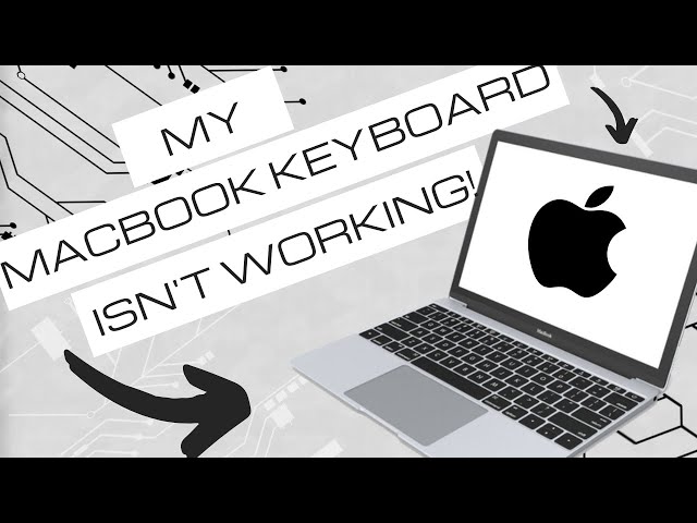 My MacBook Keyboard Is Not Working! Free Repair by Apple?