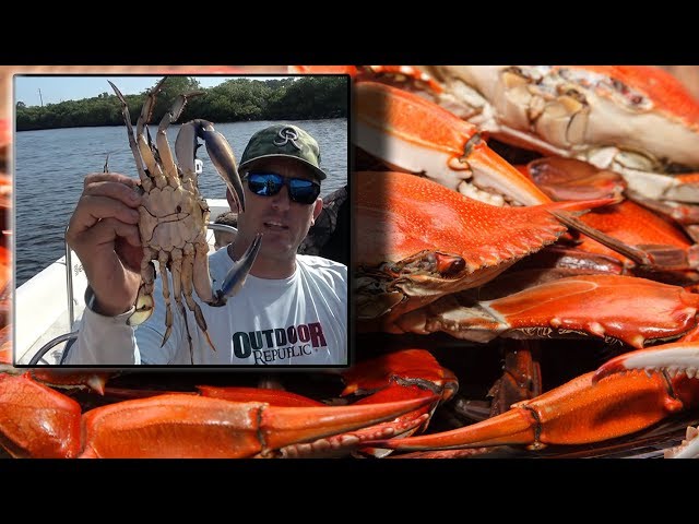 Crabs!!! Catch, Cook and Have a Party!!!