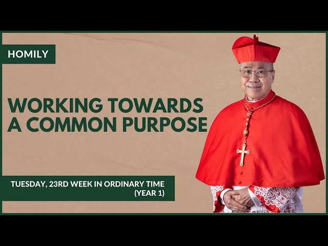 Working Towards A Common Purpose - William Cardinal Goh (Homily - 12 Sep 2023)