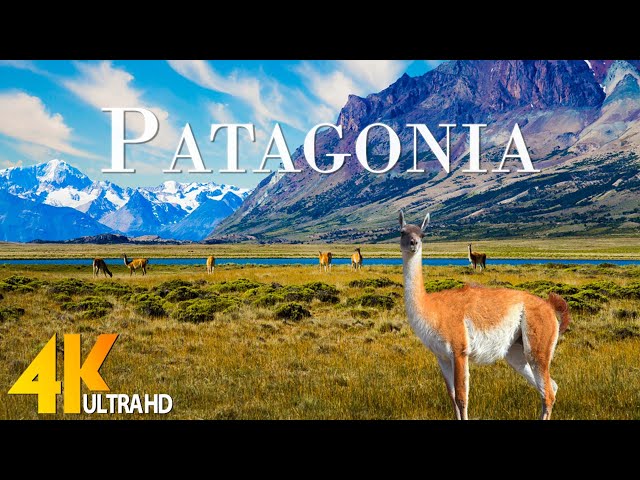 Patagonia 4K - Scenic Relaxation Film With Inspiring Cinematic Music and  Nature