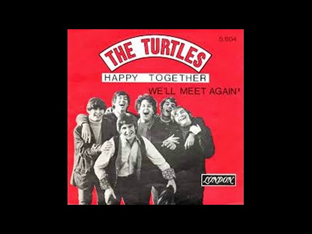 Turtles - Happy Together 1 hour