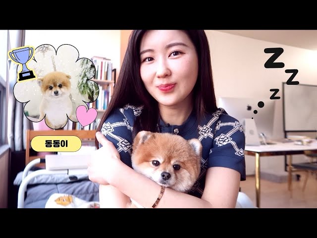 4 Must-Know Korean Words & Phrases: 'Being Sleepy'
