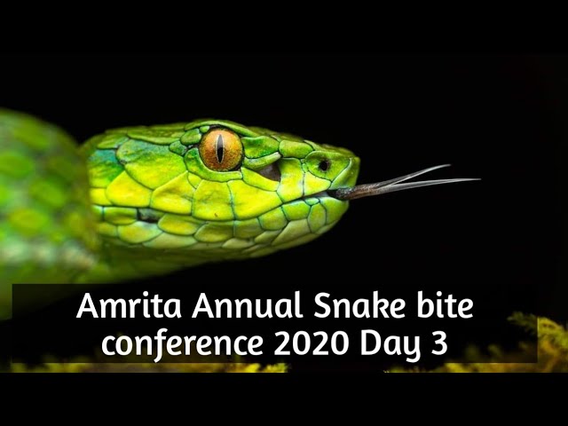 Amrita Snakebite Conference Day 3