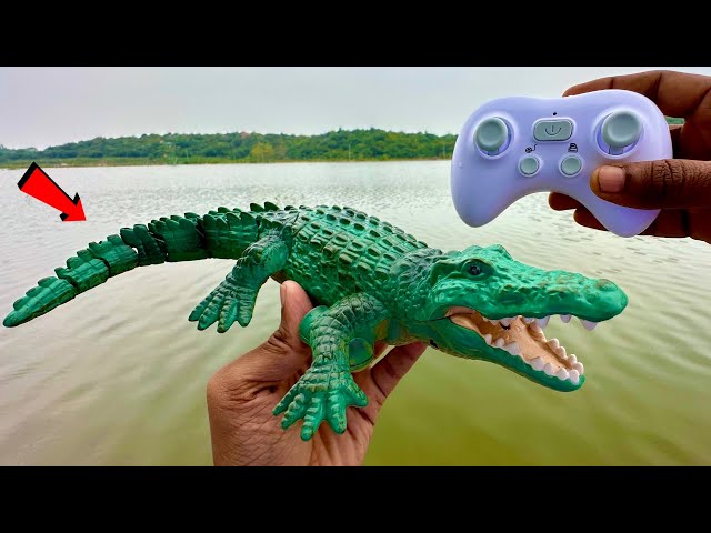 RC Realistic Swimming Crocodile Unboxing & testing - Chatpat toy tv