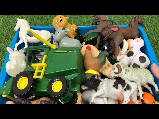 Farm Animals for Kids in a Box with Animal Sounds