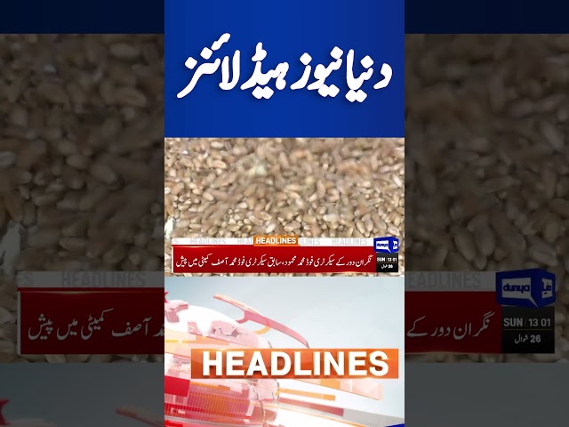 Dunya News Headlines 01:00 PM | Wheat Scandal | Kakar in Trouble | #shorts #dunyanews