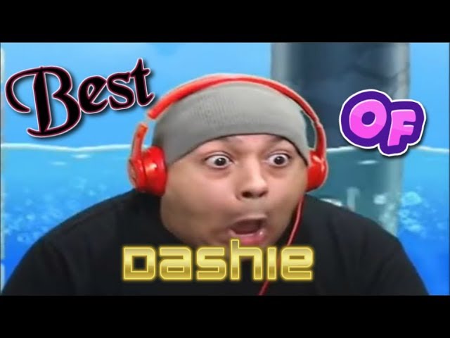 Dashie's Funniest Moments