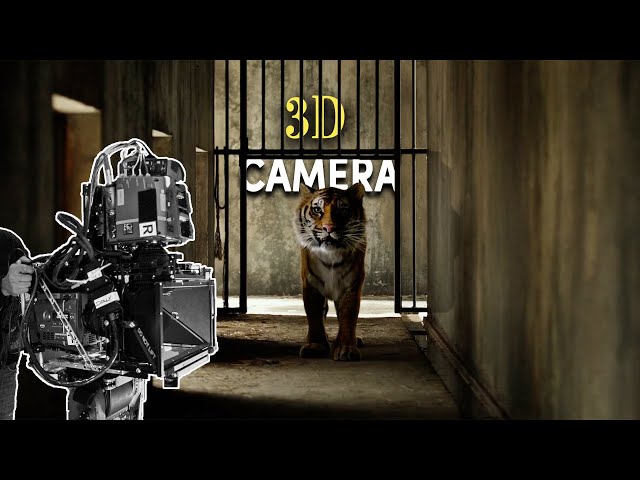 How Does A 3D Cinema Camera Work