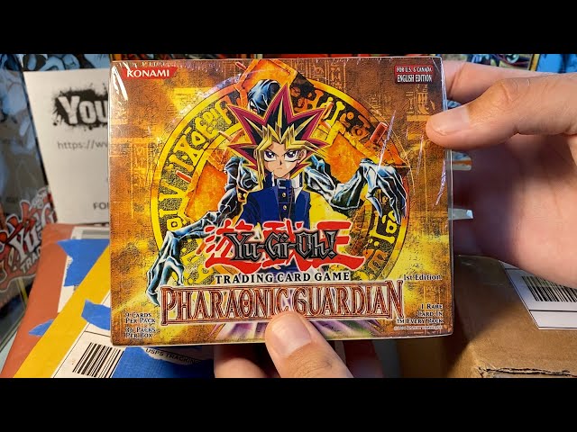 $6K+ Yugioh Mail Day AND 1st Edition Pharaoh's Servant Opened: 2 Holos Pulled!?!