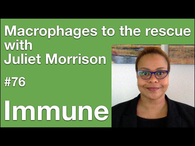Immune 76: Macrophages to the rescue with Juliet Morrison