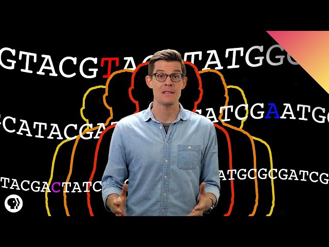 CRISPR and the Future of Human Evolution