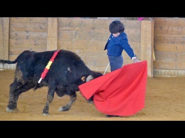 Adios Toreros? Spaniens Streit um den Stierkampf (Doku)