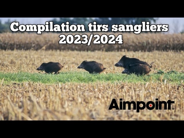 ☆66 tirs - compilation tirs sangliers best of 2023/2024☆