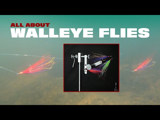 Walleye Flies Crash Course