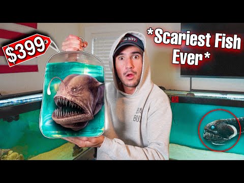 UNBOXING THE SCARIEST ANGLER FISH I'VE EVER OWNED...