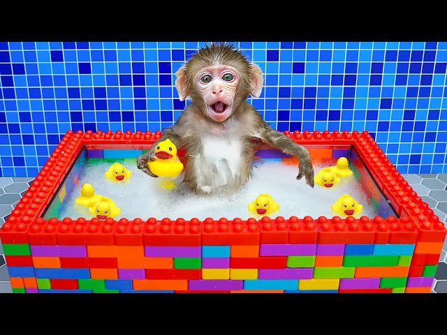 KiKi Monkey take a bath in Lego Bathtub with Duckling in the toilet | KUDO ANIMAL KIKI