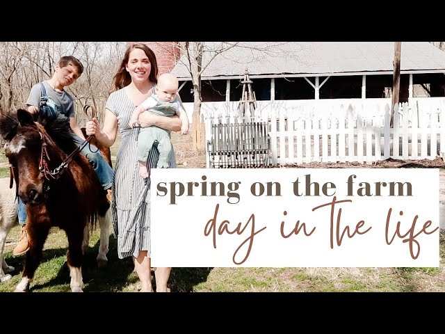 A Day in the Life on the Farm | And Our NEW Pony