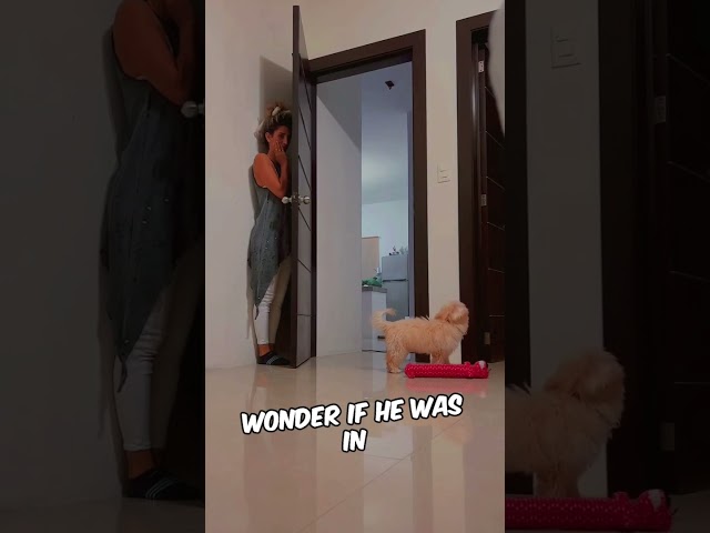 Woman Pranks Her Puppy 😂