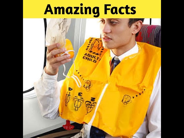 Top 3 aeroplane facts 😮😮😮@MRINDIANHACKER @CrazyXYZ || #shorts || #factonarendra