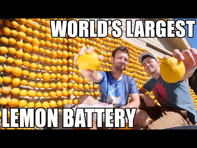 World's Largest Lemon Battery