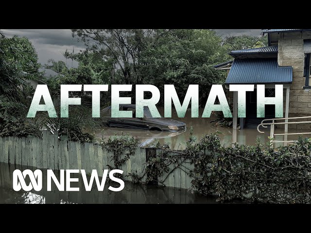 How will NSW and QLD towns rebuild after floods devastated eastern regions of Australia? | ABC News
