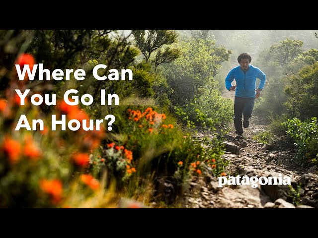 Where Can You Go In An Hour? | José González