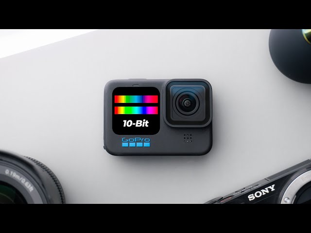 Is Shooting in 10-Bit on the GoPro HERO11 Worth It?