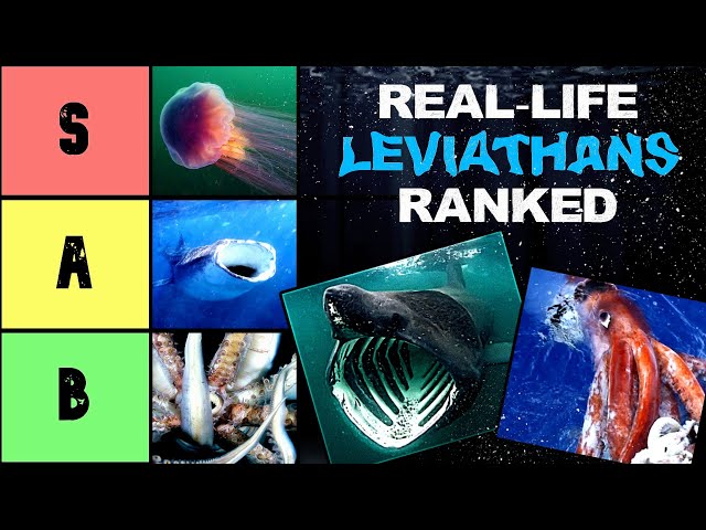 Ranking REAL-LIFE Leviathans Based On How TERRIFYING They Are