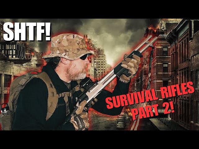 TOP SHTF Survival Rifle Pt2...I changed My Mind